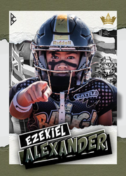 Custom Trading Cards